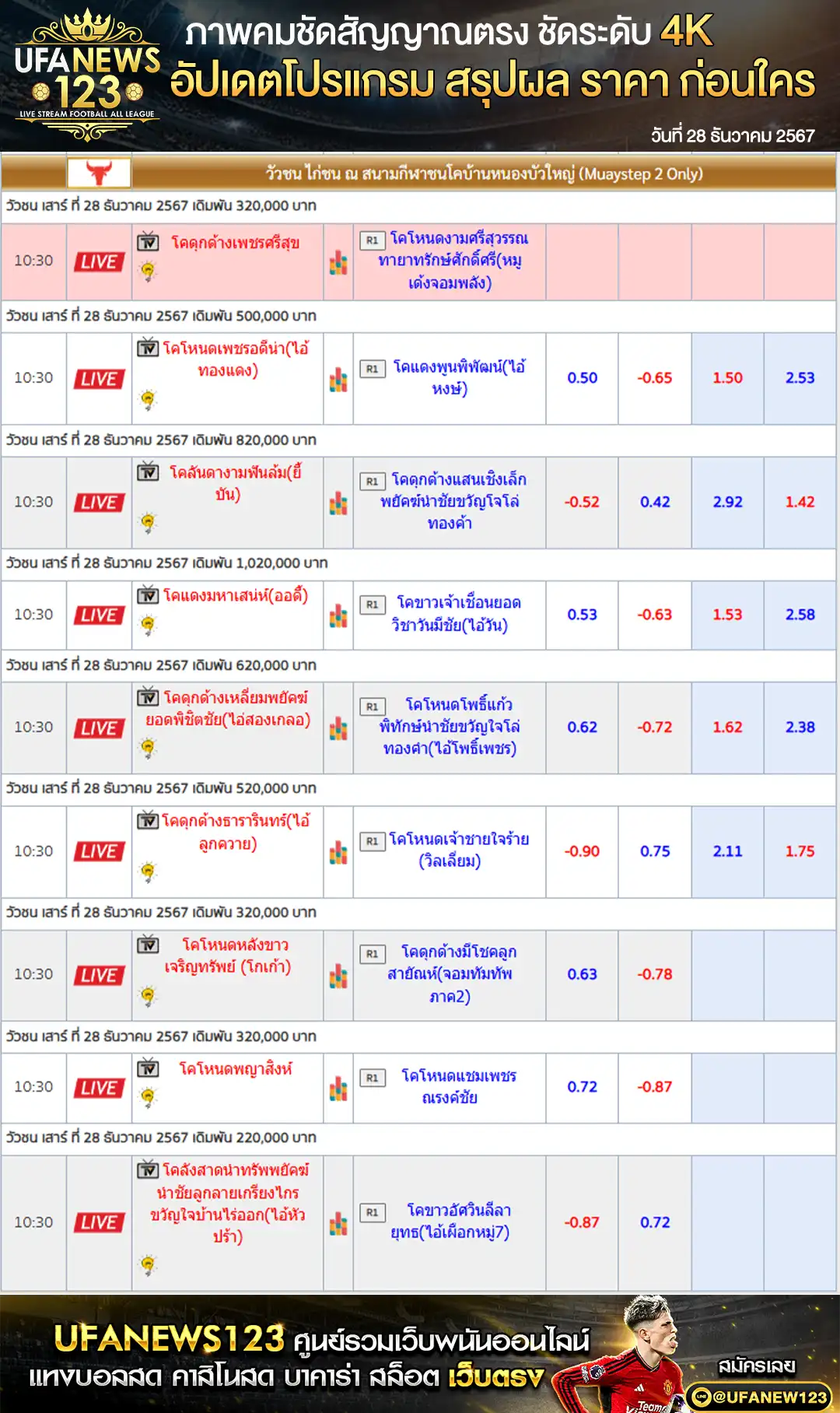 ราคาวัวชน สนามชนโคบ้านหนองบัวใหญ่ 28 ธันวาคม 2567