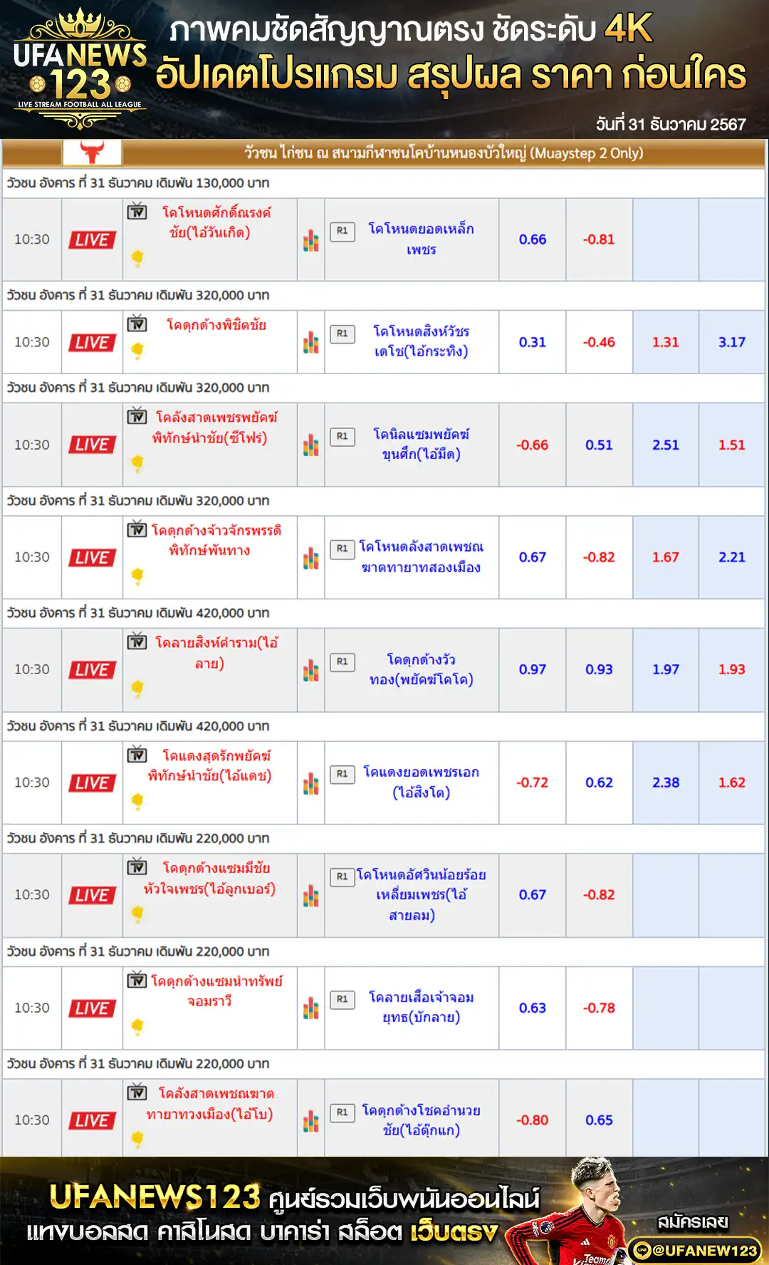 ราคาวัวชน สนามชนโคบ้านหนองบัวใหญ่ เริ่มชนเวลา 10.30 น. 31 ธันวาคม 2567