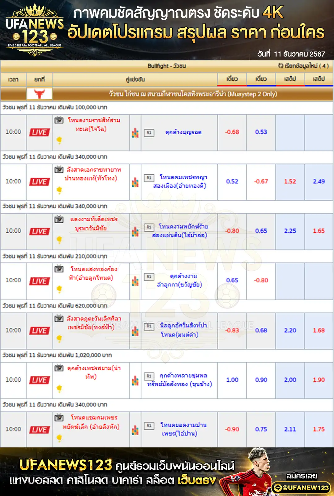 ราคาวัวชน สนามกีฬาชนโคสทิงพระอารีน่า เริ่มชนเวลา 10:00 น. 11 ธันวาคม 2567