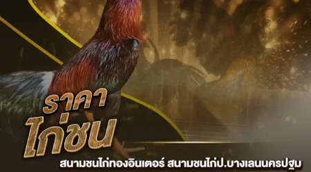 ราคาไก่ชน 07 ธันวาคม 2567