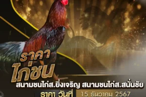 ราคาไก่ชน 15 ธันวาคม 2567