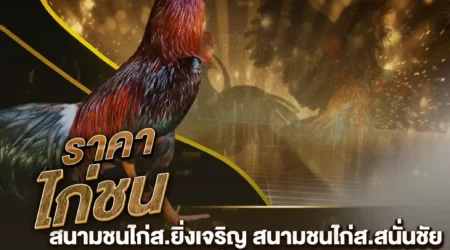 ราคาไก่ชน 15 ธันวาคม 2567