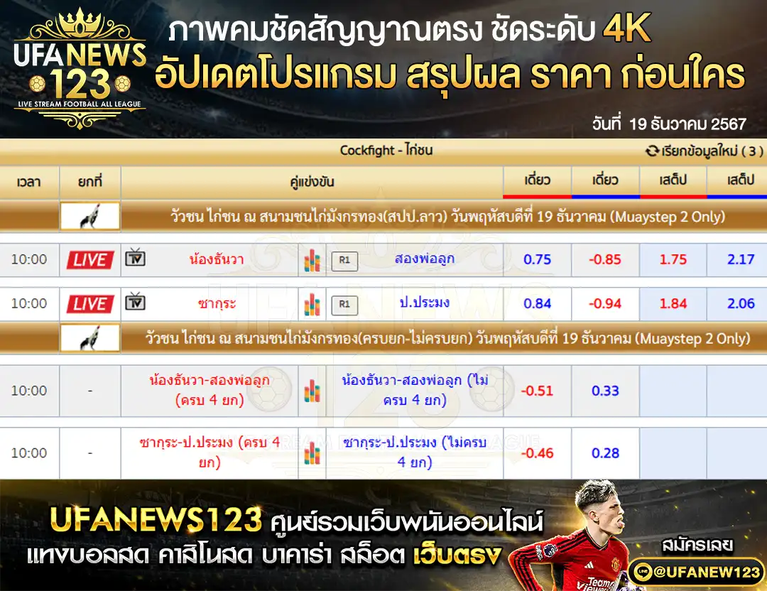 ราคาไก่ชน สนามชนไก่มังกรทอง 19 ธันวาคม 2567