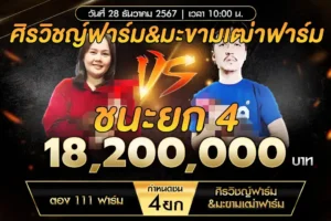 เทปไก่ชน ตอง111ฟาร์ม VS ศิรวิชญ์ฟาร์ม & มะขามเฒ่าฟาร์ม 28 ธันวาคม 2567