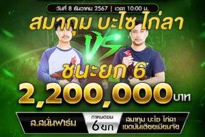 เทปไก่ชน ส.สนั่นฟาร์ม VS สมากุม บะไซ ไก่ลา เขดบันเตียเมียนเจย 08 ธันวาคม 2567