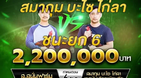 เทปไก่ชน ส.สนั่นฟาร์ม VS สมากุม บะไซ ไก่ลา เขดบันเตียเมียนเจย 08 ธันวาคม 2567