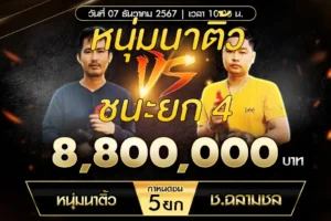 เทปไก่ชน หนุ่มนาติ้ว VS ช.ฉลามชล 07 ธันวาคม 2567