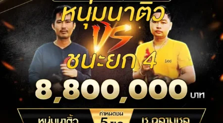 เทปไก่ชน หนุ่มนาติ้ว VS ช.ฉลามชล 07 ธันวาคม 2567