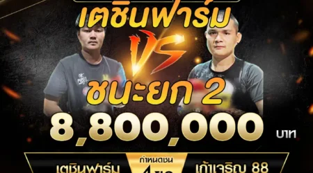 เทปไก่ชน เตชินฟาร์ม VS เก้าเจริญ 88 21 ธันวาคม 2567