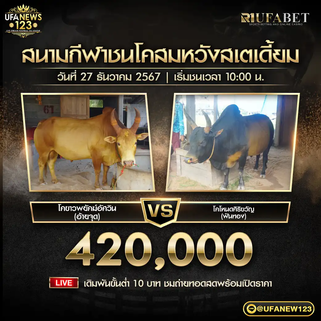 โคขาวพยัคฆ์อัศวิน (อ้ายจุด) VS โคโหนดศิริขวัญ (ฟันทอง) ชิงรางวัล 420,000 บาท 27 ธันวาคม 2567