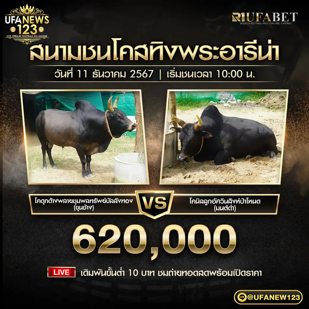 โคดุกด้างพลายชุมพลทรัพย์บัลลังทอง (ขุนช้าง) VS โคนิลลูกอัศวินสิงห์ป่าโหนด (มนต์ดำ) ชิงรางวัล 620,000 บาท