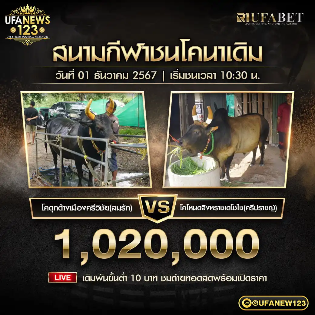 โคดุกด้างเมืองศรีวิชัย(สมรัก) VS โคโหนดสิงหราชเดโชไช(ศรีปราชญ์) ชิงรางวัล 1,020,000 บาท