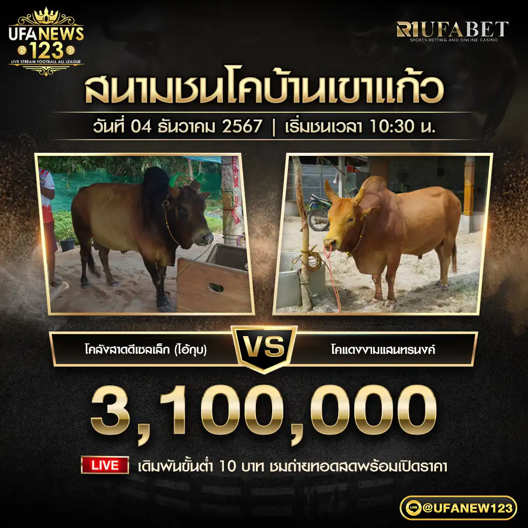 โคลังสาดดีเซลเล็ก (ไอ้กุบ) VS โคแดงงามแสนทรนงค์ ชิงรางวัล 3,100,000 บาท