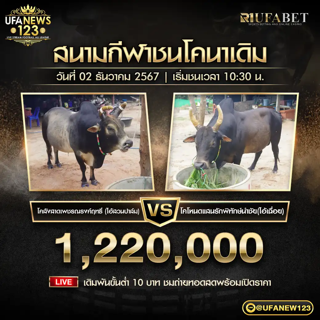 โคลังสาดเพชรณรงค์ฤทธิ์(ไอ้สวนปาล์ม) VS โคโหนดแสนรักพิทักษ์นำชัย(ไอ้เฉื่อย) ชิงรางวัล 1,220,000 บาท