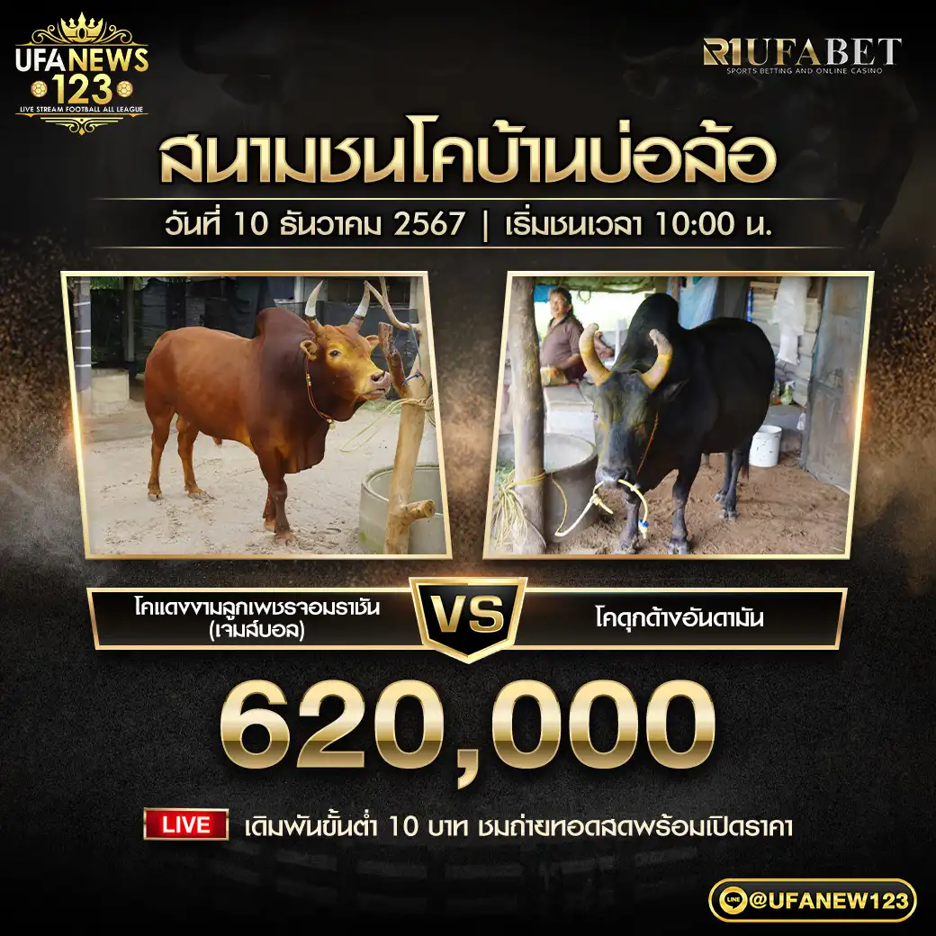 โคแดงงามลูกเพชรจอมราชัน (เจมส์บอล) VS โคดุกด้างอันดามัน ชิงรางวัล 620,000 บาท