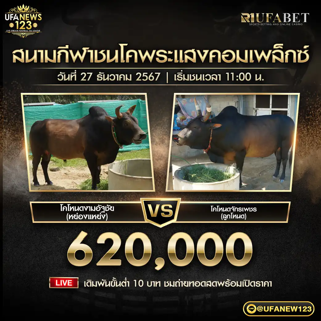 โคโหนดงามอัฐชัย (หย่องแหย่ง) VS โคโหนดจักรเพชร (ลูกโหนด) ชิงรางวัล 620,000 บาท 27 ธันวาคม 2567