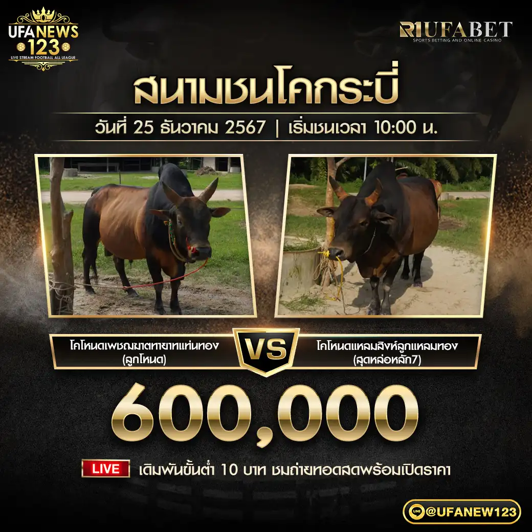 โคโหนดเพชฌฆาตทายาทแท่นทอง (ลูกโหนด) VS โคโหนดแหลมสิงห์ลูกแหลมทอง (สุดหล่อหลัก7) ชิงรางวัล 60,000 บาท 25 ธันวาคม 2567