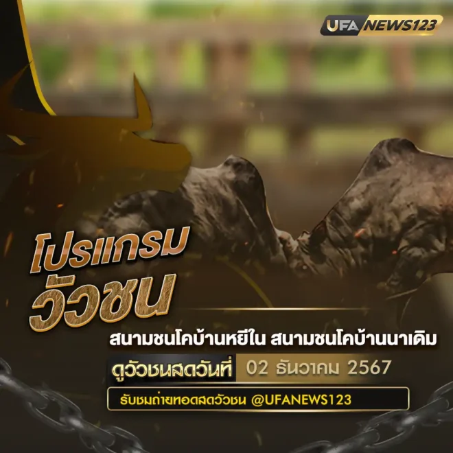 โปรแกรมวัวชน 02 ธันวาคม 2567