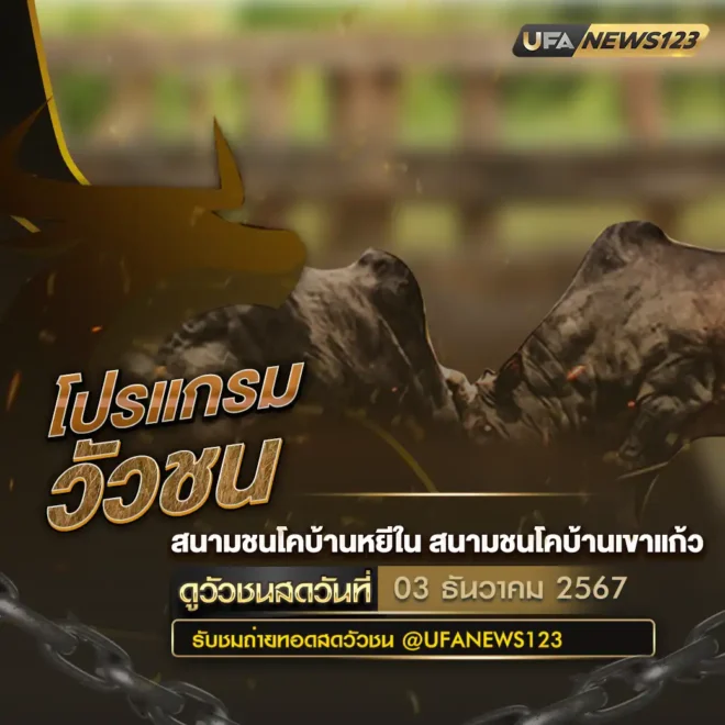 โปรแกรมวัวชน 03 ธันวาคม 2567