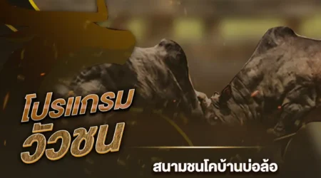 โปรแกรมวัวชน 09 ธันวาคม 2567