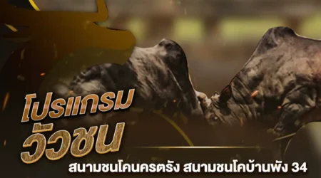 โปรแกรมวัวชน 12 ธันวาคม 2567