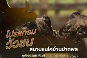 โปรแกรมวัวชน 18 ธันวาคม 2567