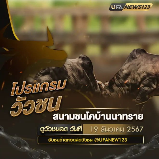 โปรแกรมวัวชน 19 ธันวาคม 2567