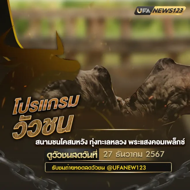 โปรแกรมวัวชน 27 ธันวาคม 2567