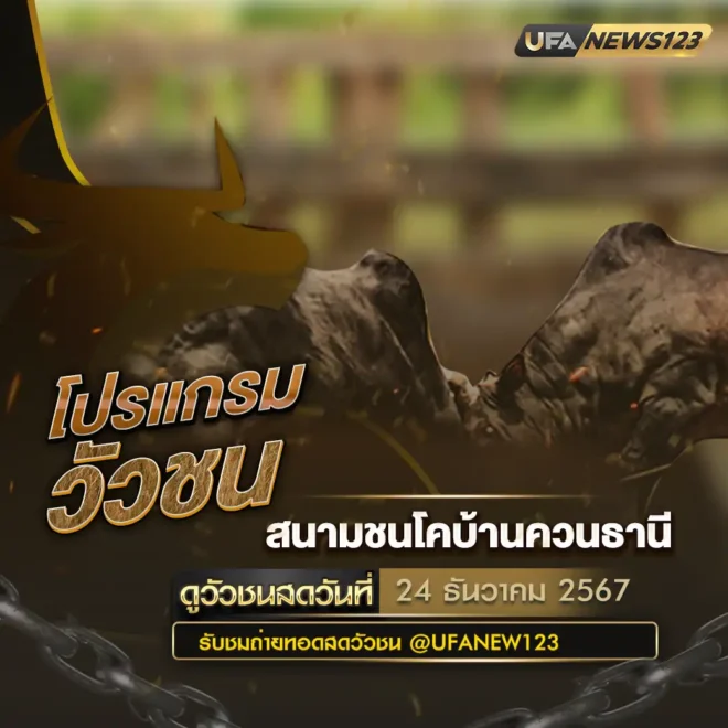 โปรแกรมวัวชน 24 ธันวาคม 2567