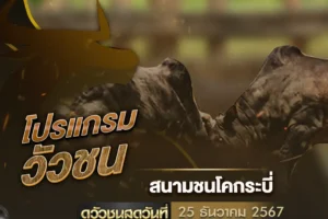 โปรแกรมวัวชน 25 ธันวาคม 2567