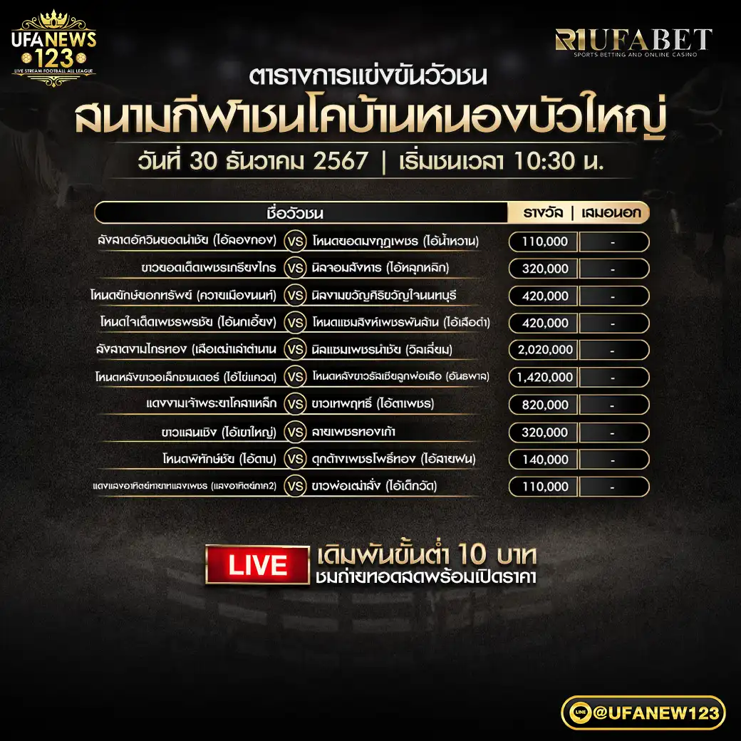 โปรแกรมวัวชน สนามชนโคบ้านหนองบัวใหญ่ เริ่มชนเวลา 10:30 น. 30 ธันวาคม 2567