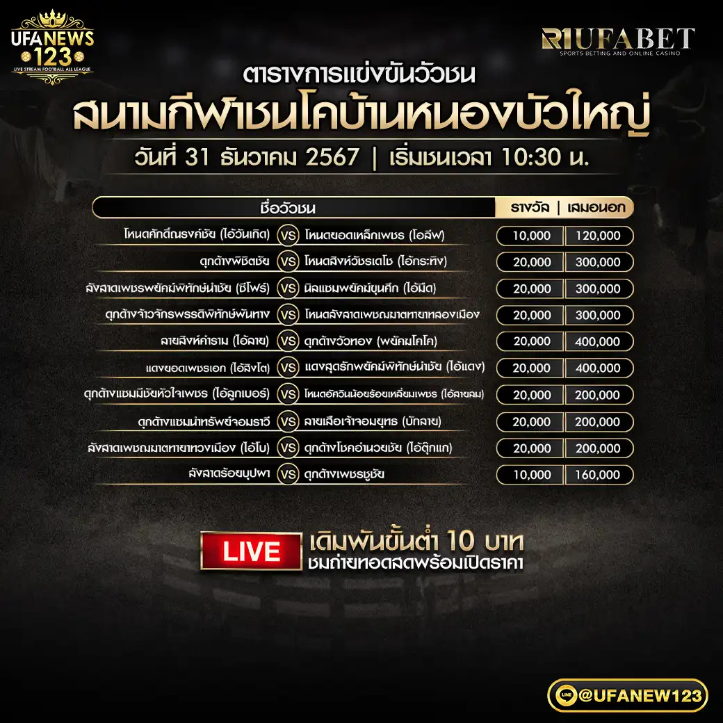 โปรแกรมวัวชน สนามชนโคบ้านหนองบัวใหญ่ เริ่มชนเวลา 10:30 น. 31 ธันวาคม 2567