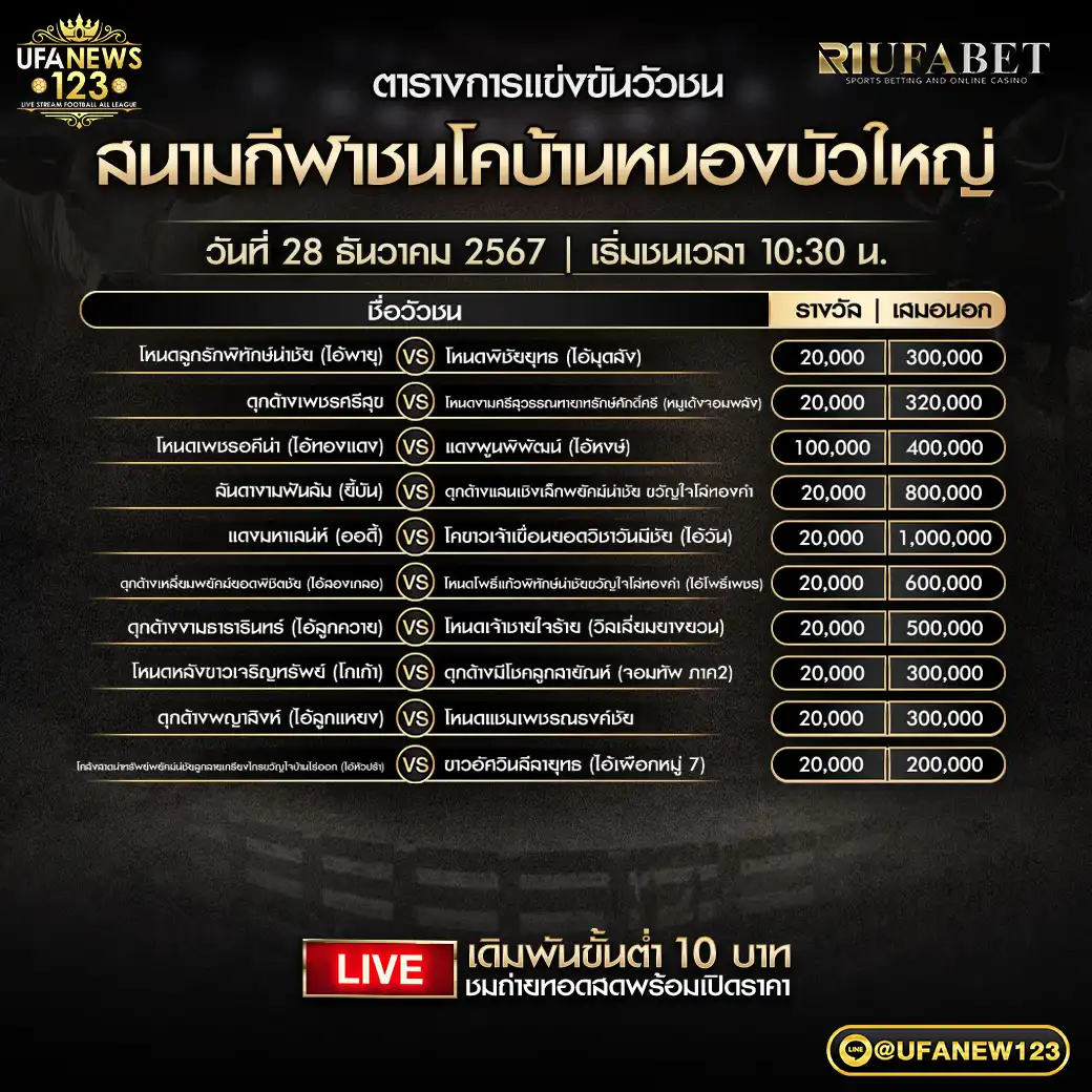 โปรแกรมวัวชน สนามชนโคหนองบัวใหญ่ เริ่มชนเวลา 10:30 น. 28 ธันวาคม 2567