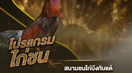 โปรแกรมไก่ชน 02 ธันวาคม 2567