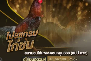 โปรแกรมไก่ชน 03 ธันวาคม 2567