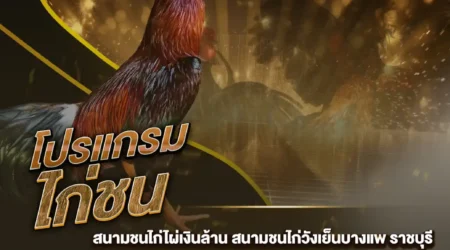 โปรแกรมไก่ชน 08 ธันวาคม 2567