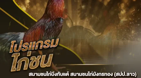 โปรแกรมไก่ชน 09 ธันวาคม 2567