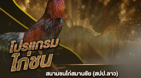 โปรแกรมไก่ชน 25 ธันวาคม 2567