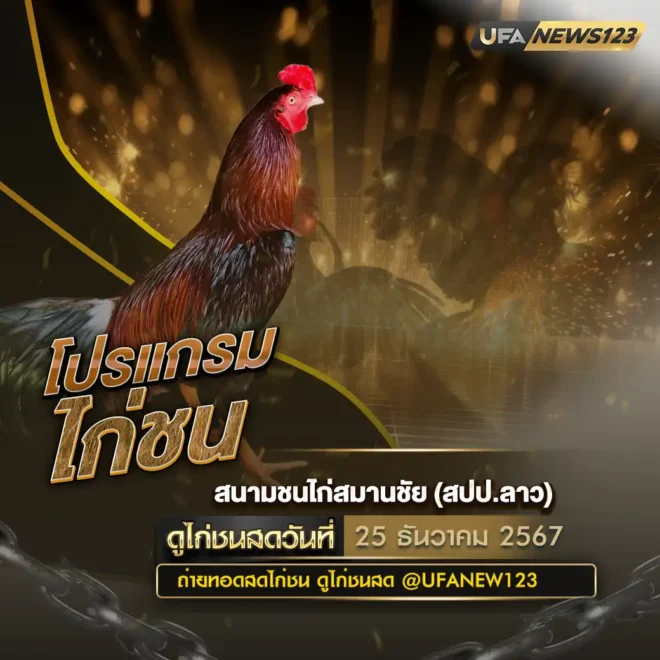 โปรแกรมไก่ชน 25 ธันวาคม 2567