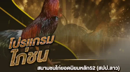 โปรแกรมไก่ชน 31 ธันวาคม 2567