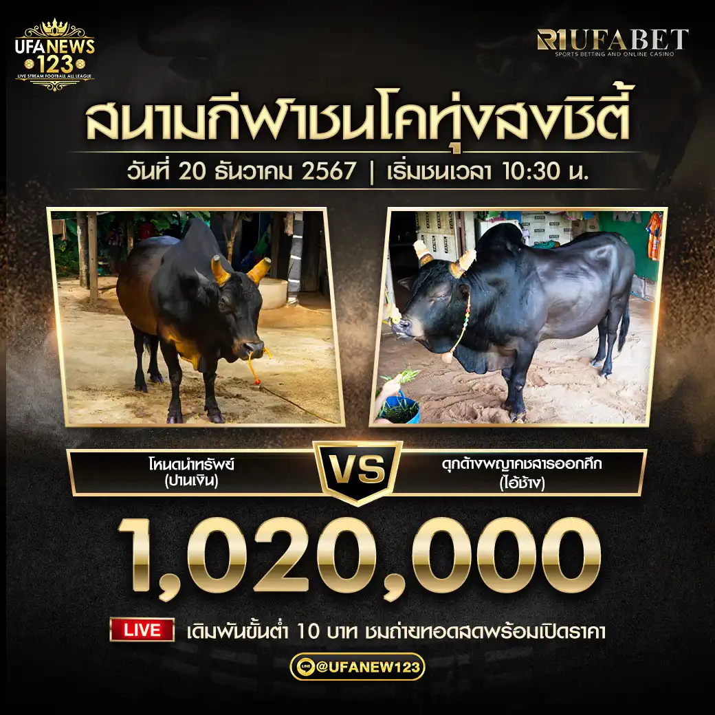 โหนดนำทรัพย์ (ปานเงิน) VS ดุกด้างพญาคชสารออกศึก (ไอ้ช้าง) ชิงรางวัล 1,020,000 บาท 20 ธันวาคม 2567