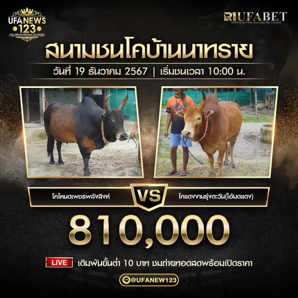 โหนดเพชรพลังสิงห์ VS แดงงานรุ่งตะวัน (ไอ้มดแดง) ชิงรางวัล 820,000 บาท 19 ธันวาคม 2567