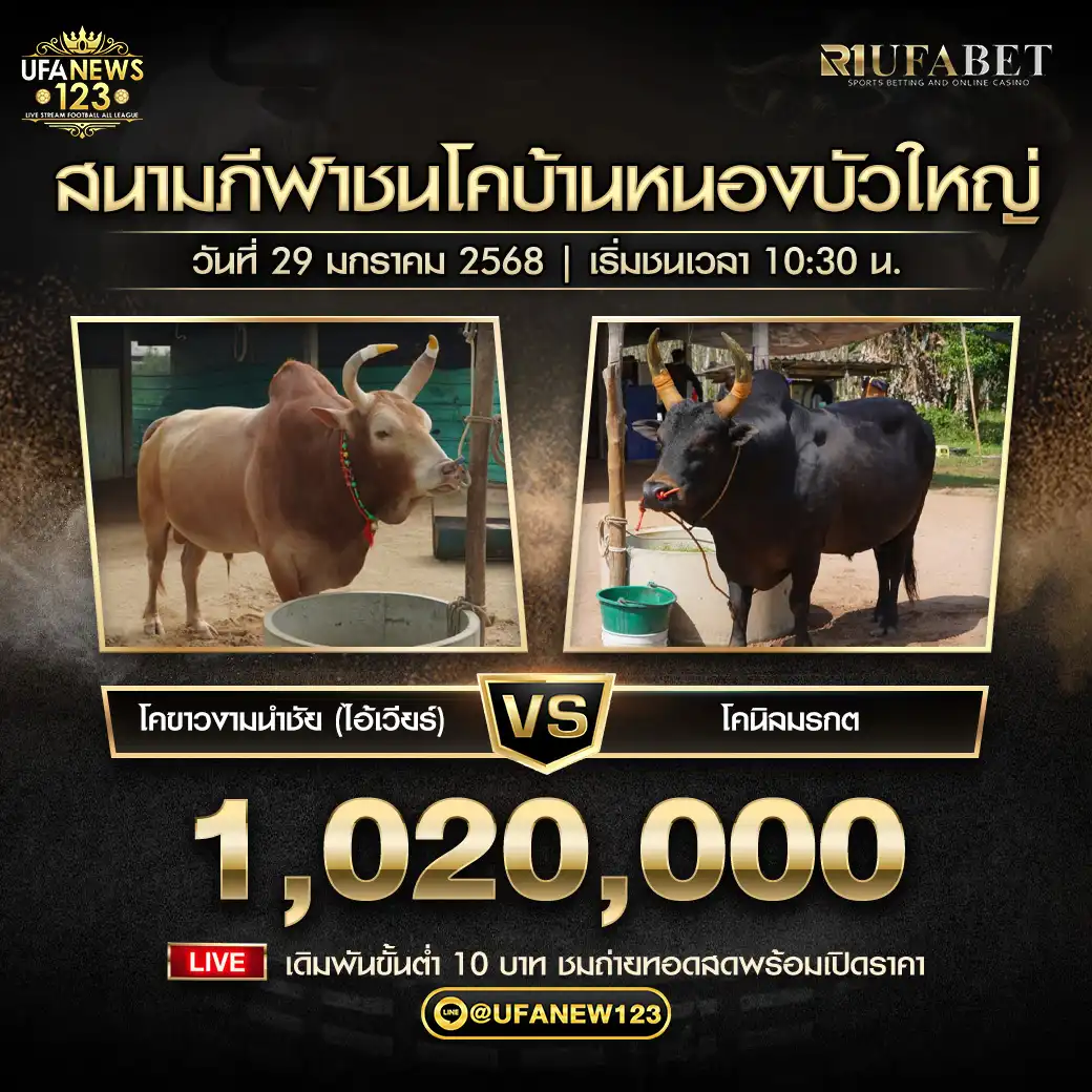 ขาวงามนำชัย (ไอ้เวียร์) VS นิลมรกต ชิงรางวัล 1,020,000 บาท 29 มกราคม 2568