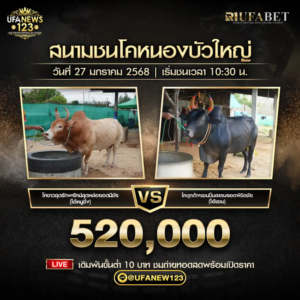 ดุกด้างแซมปิ่นสยามยอดพิชิตชัย (ไอ้แซม) VS ขาวสุดรักพยัคฆ์สุดหล่อยอดมีชัย (ไอ้หมูซิ่ง) ชิงรางวัล 520,000 บาท 27 มกราคม 2568