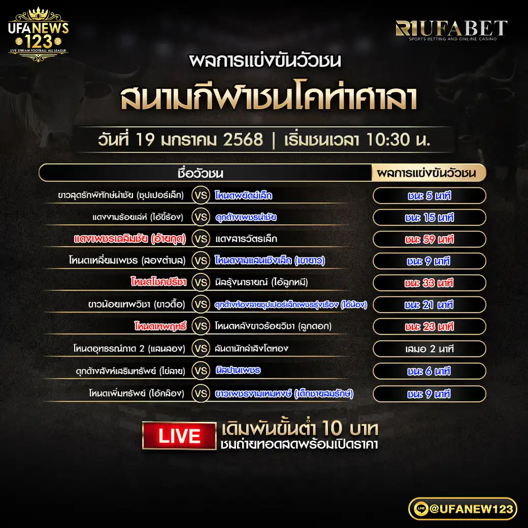 สรุปผลวัวชน สนามชนโคท่าศาลา 19 มกราคม 2568