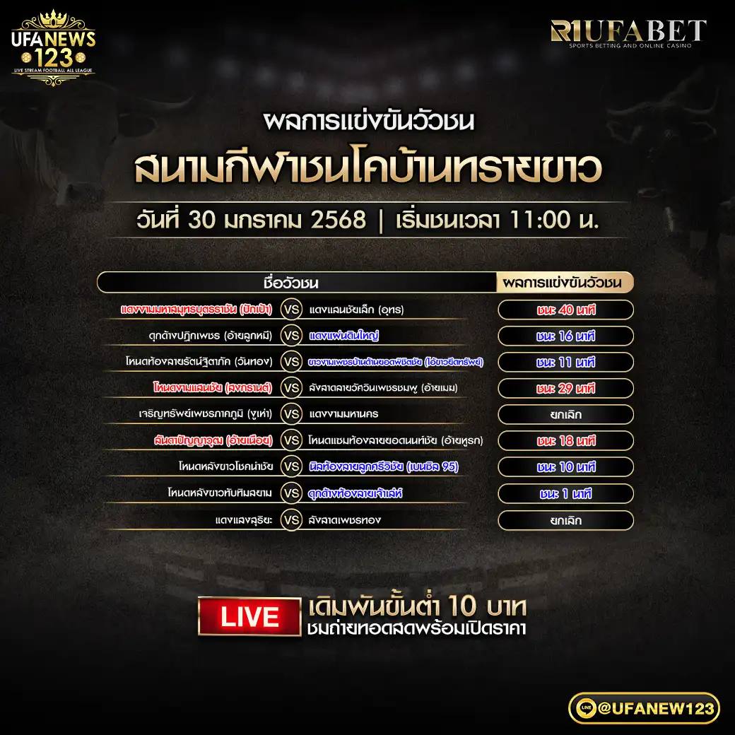 สรุปผลวัวชน สนามชนโคบ้านทรายขาว 30 มกราคม 2568