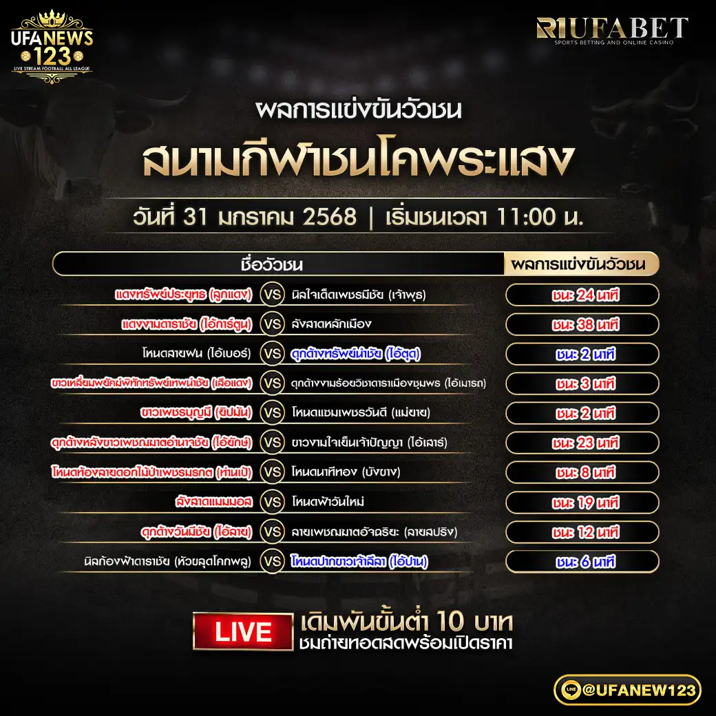 สรุปผลวัวชน สนามชนโคพระแสง 31 มกราคม 2568