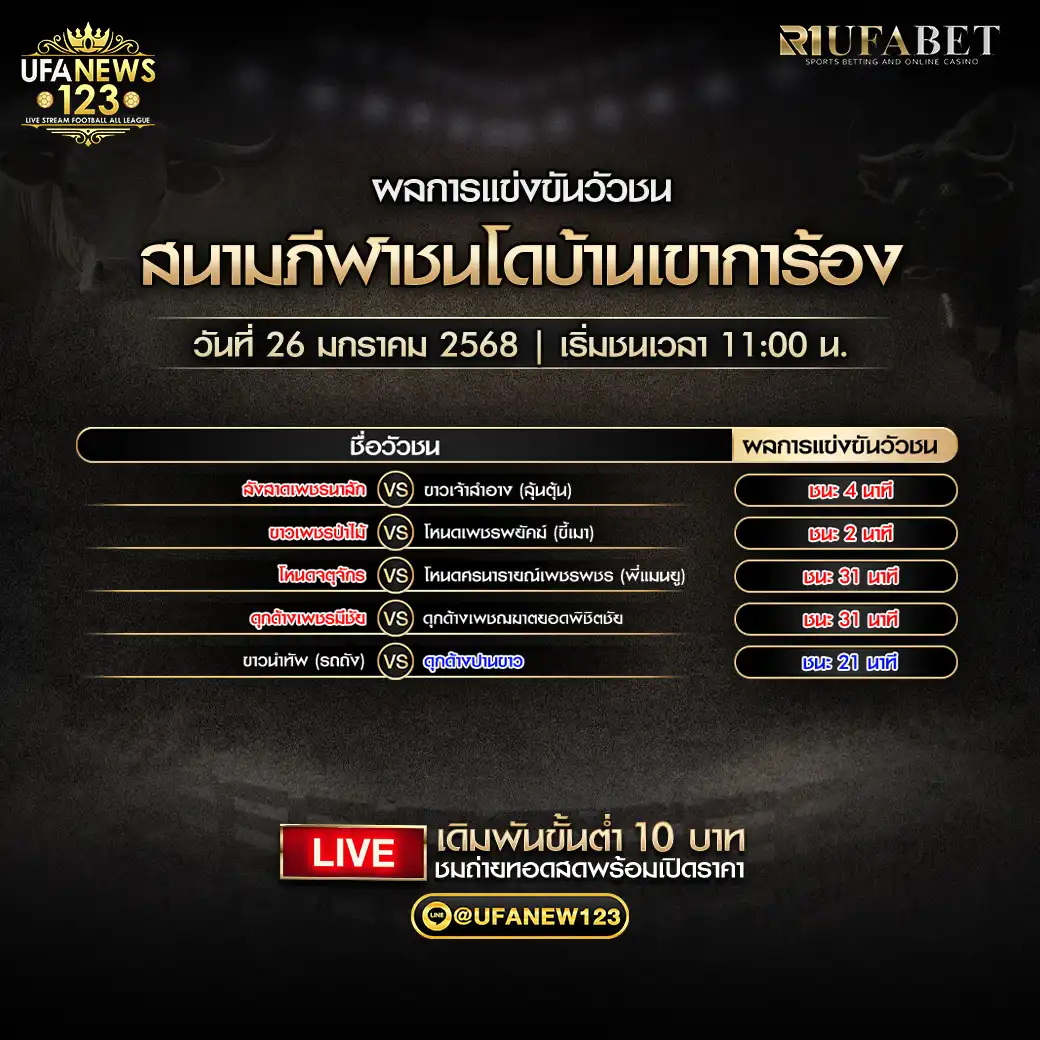 สรุปผลวัวชน สนามชนโดบ้านเขาการ้อง 26 มกราคม 2568