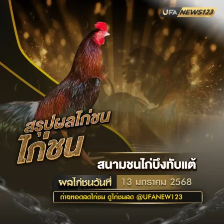 ผลไก่ชน 13 มกราคม 2568