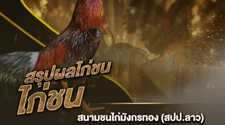 ผลไก่ชน 16 มกราคม 2568